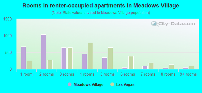 Rooms in renter-occupied apartments in Meadows Village