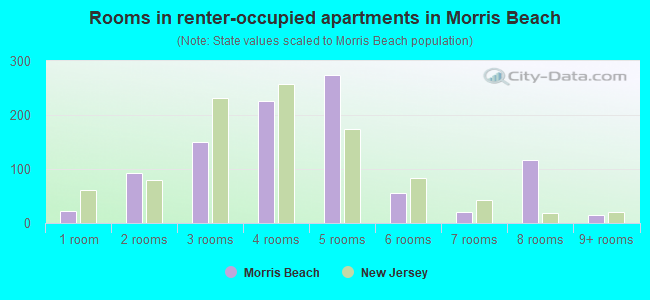 Rooms in renter-occupied apartments in Morris Beach