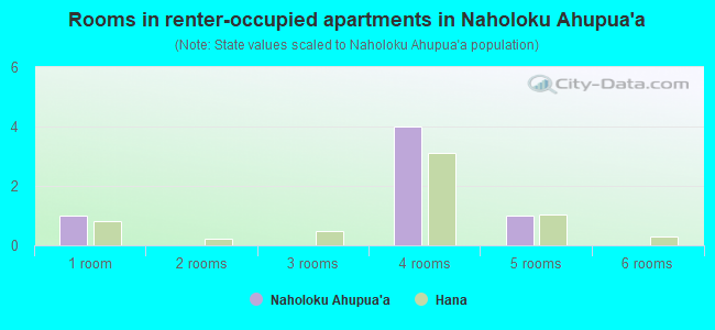 Rooms in renter-occupied apartments in Naholoku Ahupua`a