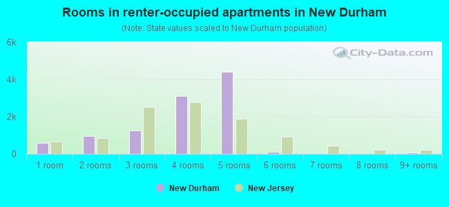 Rooms in renter-occupied apartments in New Durham