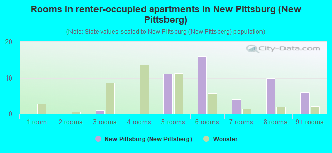 Rooms in renter-occupied apartments in New Pittsburg (New Pittsberg)