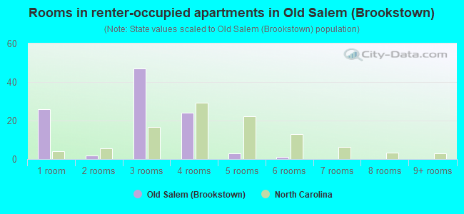 Rooms in renter-occupied apartments in Old Salem (Brookstown)