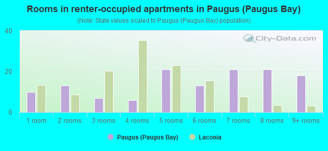 Rooms in renter-occupied apartments in Paugus (Paugus Bay)