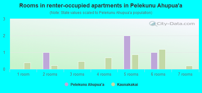 Rooms in renter-occupied apartments in Pelekunu Ahupua`a
