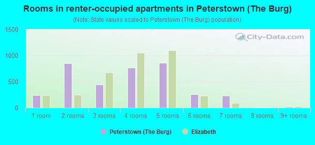 Rooms in renter-occupied apartments in Peterstown (The Burg)