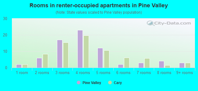Rooms in renter-occupied apartments in Pine Valley