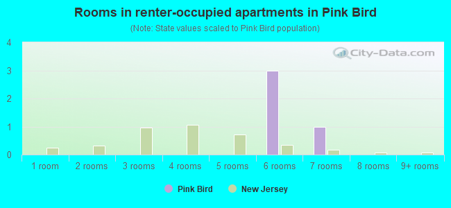 Rooms in renter-occupied apartments in Pink Bird