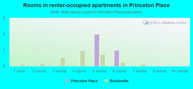 Rooms in renter-occupied apartments in Princeton Place