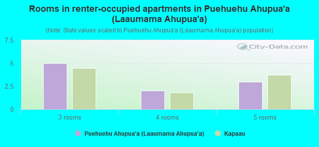 Rooms in renter-occupied apartments in Puehuehu Ahupua`a (Laaumama Ahupua`a)