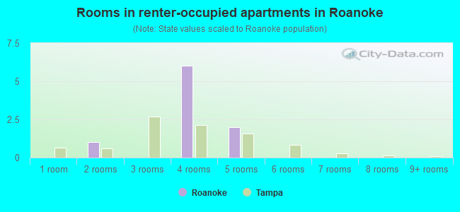 Rooms in renter-occupied apartments in Roanoke