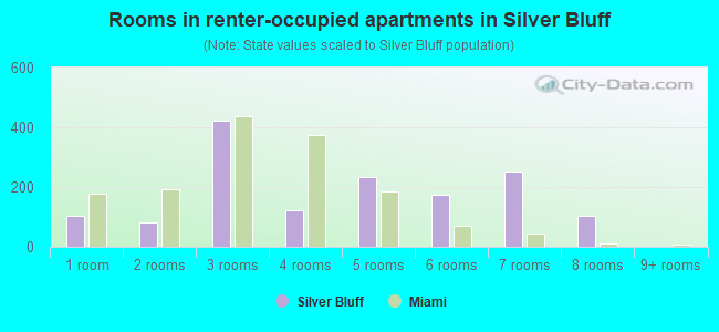 Historic Silver Bluff: Rediscovering Miami's Neighborhoods / Main