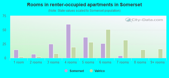 Rooms in renter-occupied apartments in Somerset