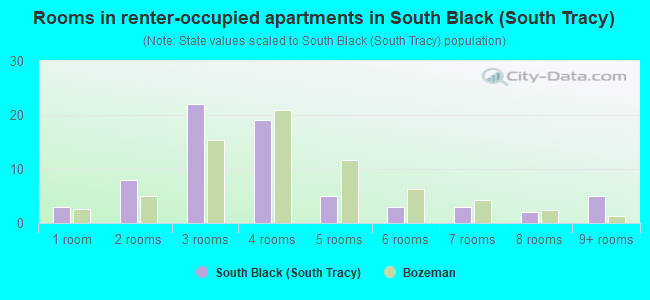 Rooms in renter-occupied apartments in South Black (South Tracy)