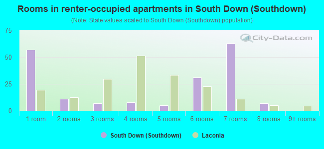 Rooms in renter-occupied apartments in South Down (Southdown)