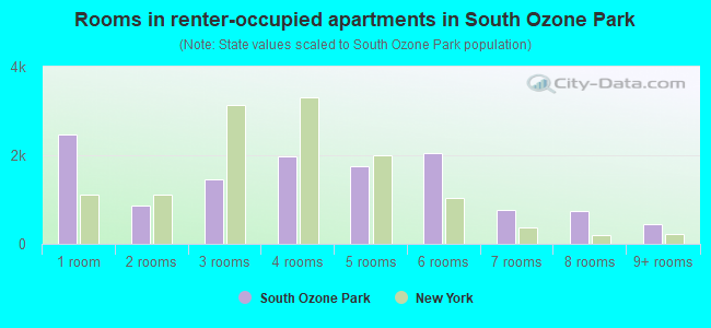 Rooms in renter-occupied apartments in South Ozone Park