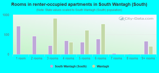 Rooms in renter-occupied apartments in South Wantagh (South)