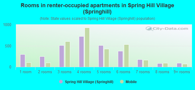 Rooms in renter-occupied apartments in Spring Hill Village (Springhill)