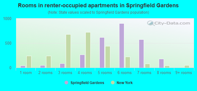 Rooms in renter-occupied apartments in Springfield Gardens