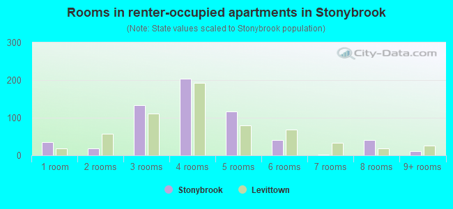 Rooms in renter-occupied apartments in Stonybrook