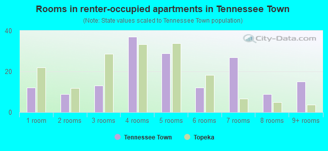 Rooms in renter-occupied apartments in Tennessee Town