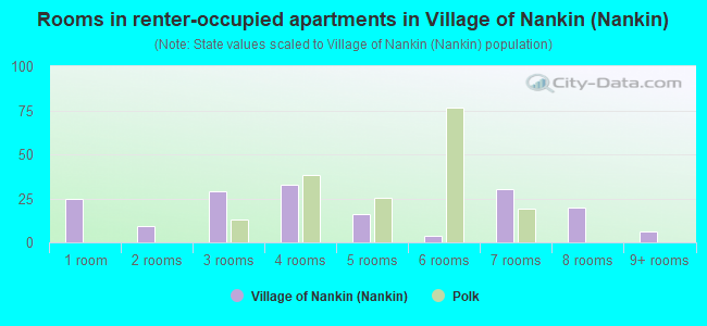 Rooms in renter-occupied apartments in Village of Nankin (Nankin)
