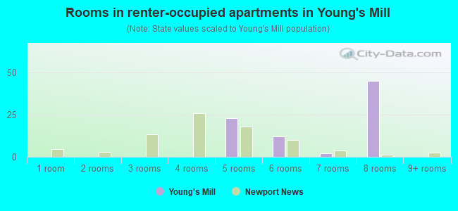 Rooms in renter-occupied apartments in Young's Mill