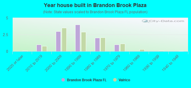Year house built in Brandon Brook Plaza