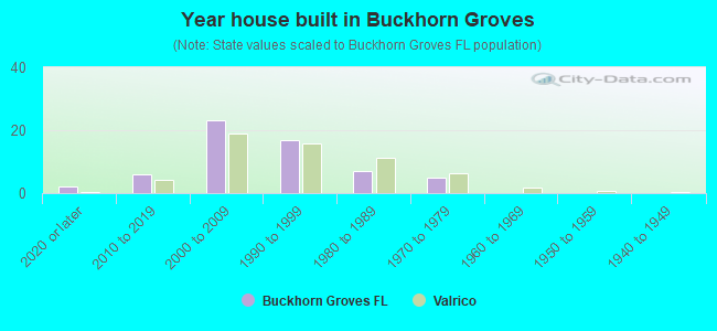 Year house built in Buckhorn Groves