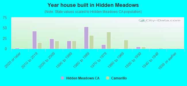 Year house built in Hidden Meadows
