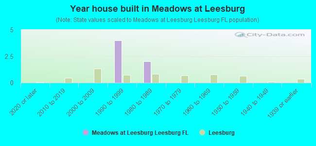 Year house built in Meadows at Leesburg