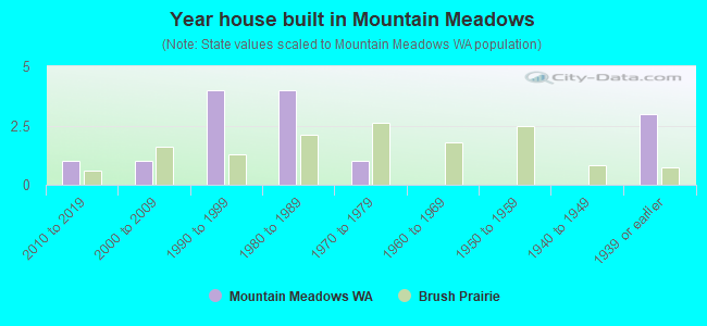 Year house built in Mountain Meadows