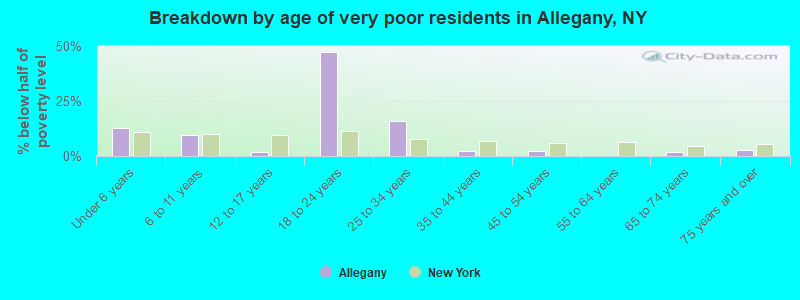 Breakdown by age of very poor residents in Allegany, NY