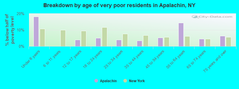 Breakdown by age of very poor residents in Apalachin, NY