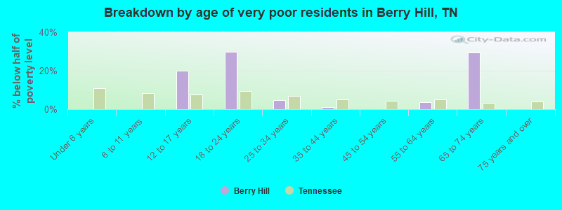 Breakdown by age of very poor residents in Berry Hill, TN