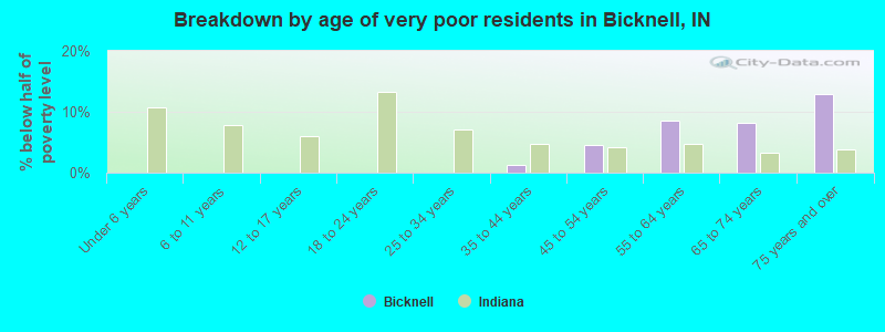 Breakdown by age of very poor residents in Bicknell, IN