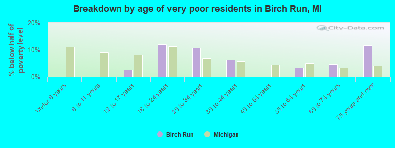 Breakdown by age of very poor residents in Birch Run, MI