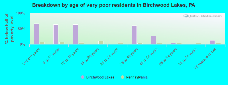 Breakdown by age of very poor residents in Birchwood Lakes, PA