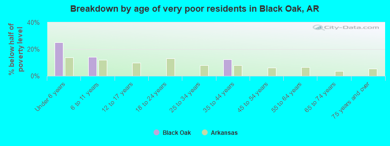 Breakdown by age of very poor residents in Black Oak, AR