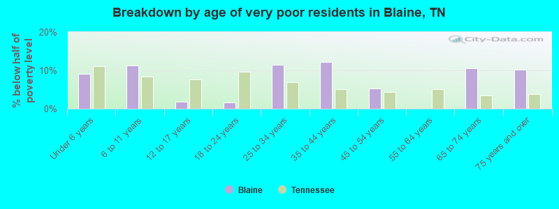 Breakdown by age of very poor residents in Blaine, TN