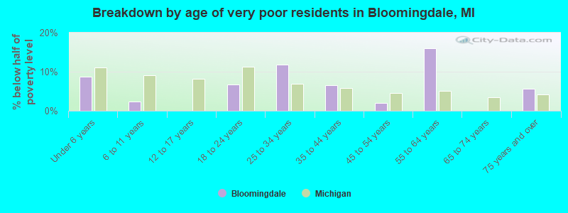 Breakdown by age of very poor residents in Bloomingdale, MI