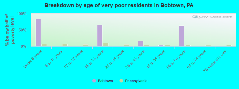 Breakdown by age of very poor residents in Bobtown, PA