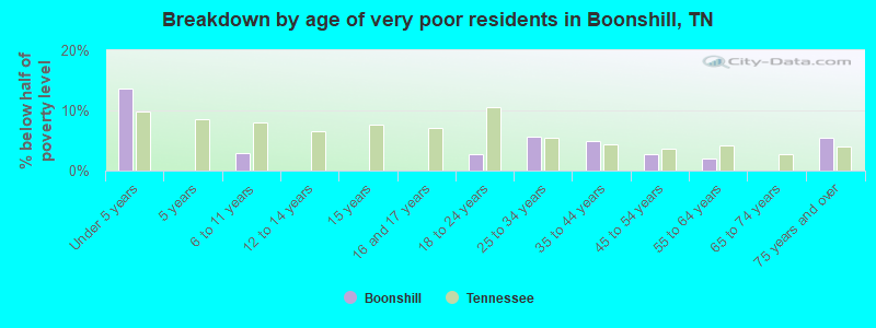 Breakdown by age of very poor residents in Boonshill, TN