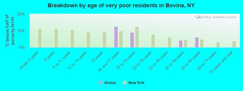 Breakdown by age of very poor residents in Bovina, NY