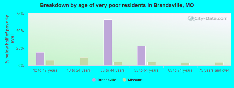 Breakdown by age of very poor residents in Brandsville, MO
