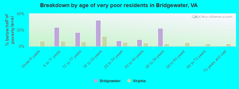 Breakdown by age of very poor residents in Bridgewater, VA