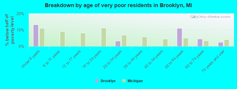 Breakdown by age of very poor residents in Brooklyn, MI