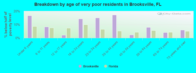 Breakdown by age of very poor residents in Brooksville, FL