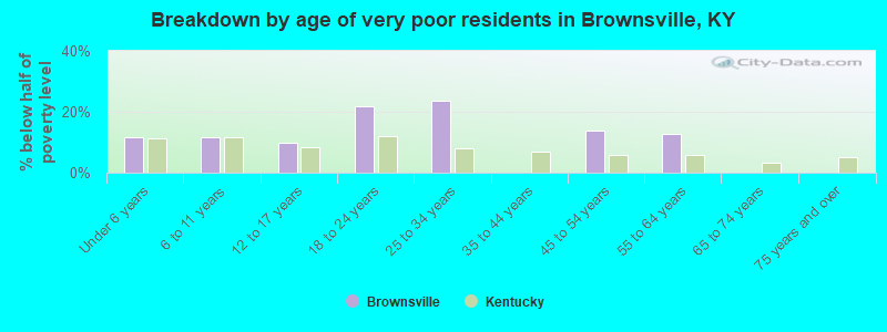 Breakdown by age of very poor residents in Brownsville, KY