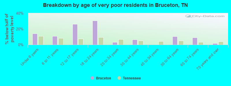 Breakdown by age of very poor residents in Bruceton, TN