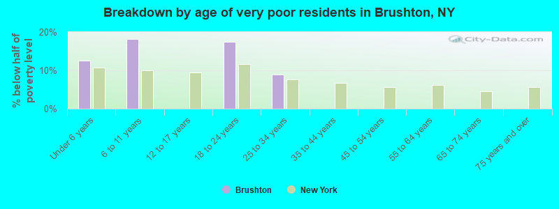 Breakdown by age of very poor residents in Brushton, NY